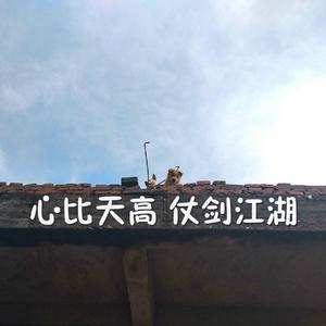 火影忍者2025年7月平衡调整
